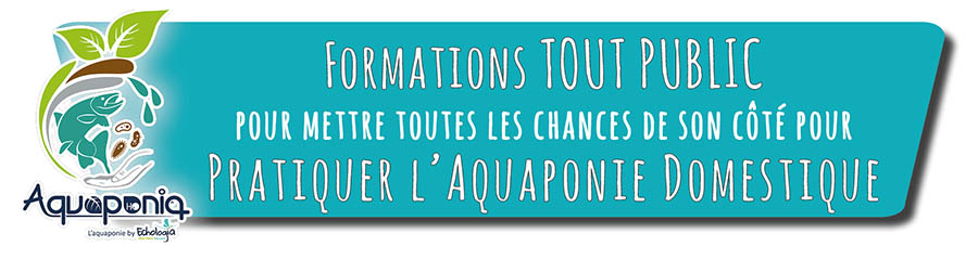 Bouton formation aquaponie Domestique Echologia Aquaponia 2024