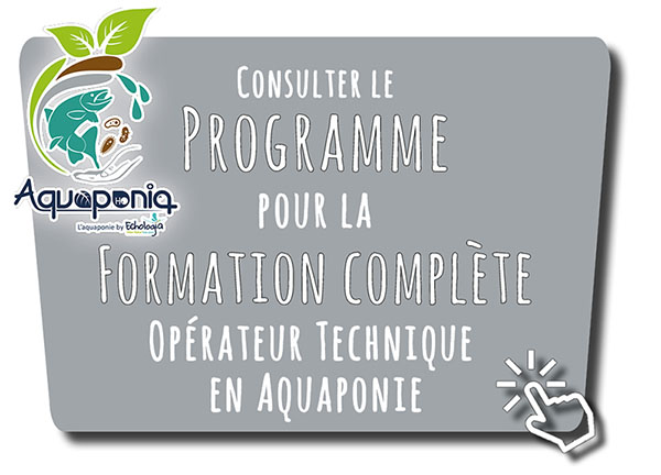 Programme formation aquaponie certifiante classique Echologia Aquaponia 2022 800px