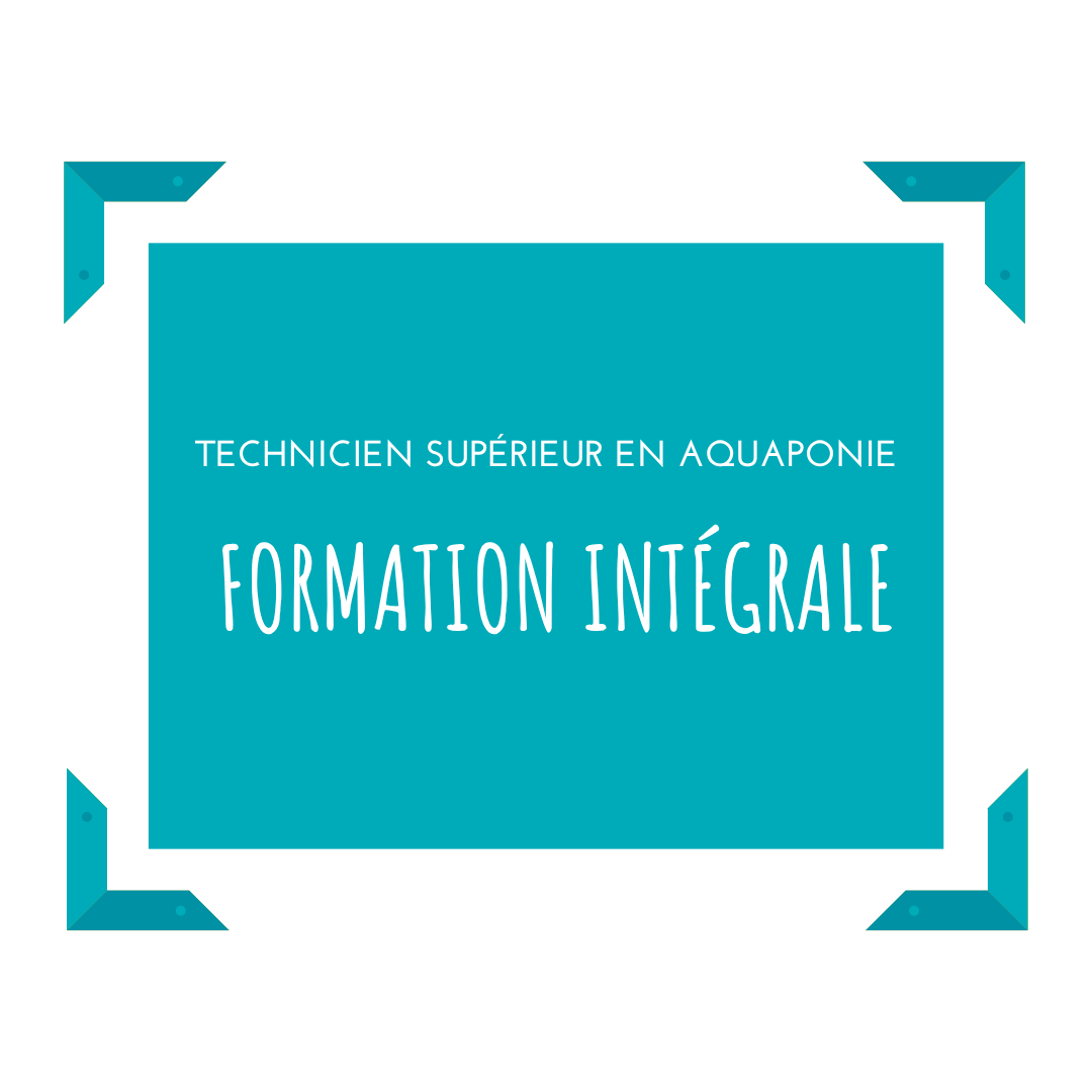 Bouton bloc 1 technicien superieur en aquaponie 2024 AQUAPONIA ECHOLOGIA