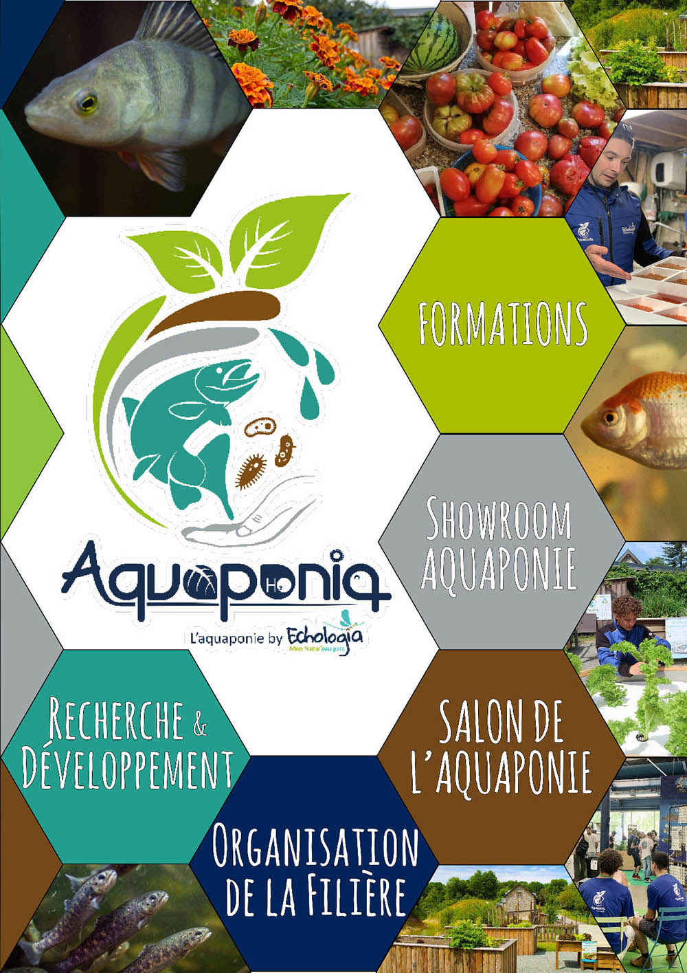Aquaponie Brochure Volet 1 - Formation Animation Installation