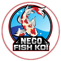 logo NegoFishKoi aquaponie Echologia Aquaponia 2023