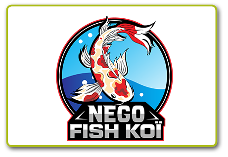 Partenaire salon aquaponie Echologia Aquaponia Nego Fish Koi