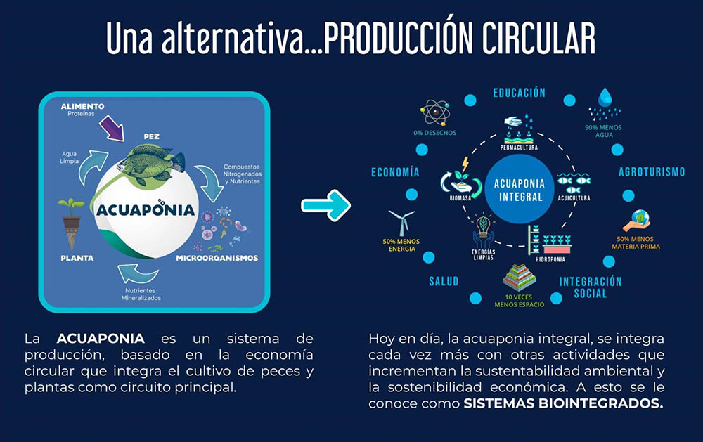 congresso acuaponia 2022 aquaponics congress mexico guadalajara echologia aquaponia 04