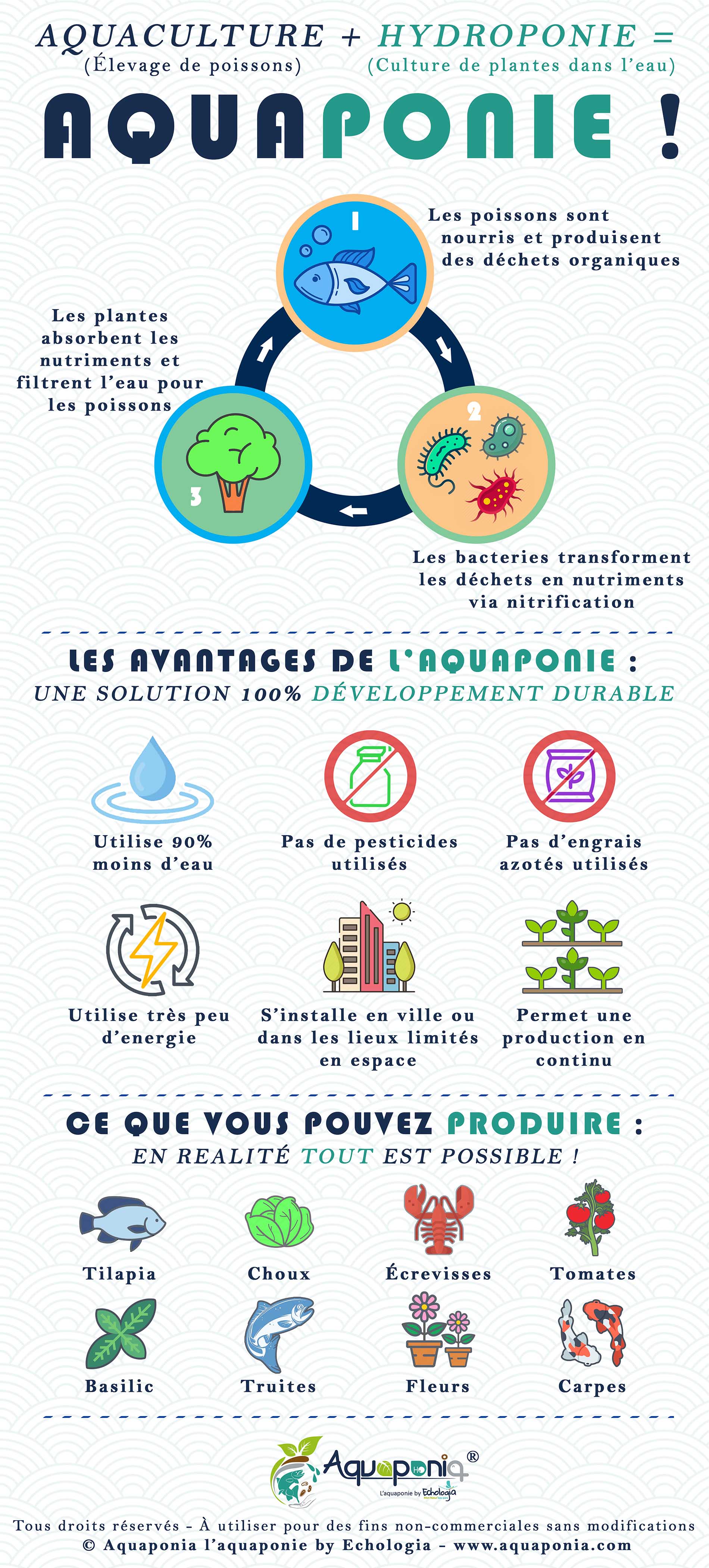 L'aquaponie” : cultiver des plantes en élevant des poissons, comment ça  marche? : Femme Actuelle Le MAG